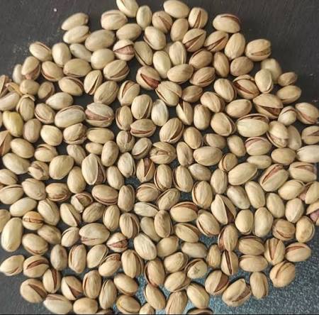 پسته فندقی ریزدانه و یکدست + انتخابی اقتصادی  برای تجارت + قیمت و خرید عمده